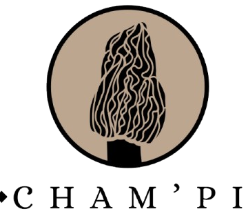 SARL CHAM'PI